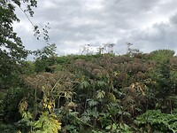 IMG_7797