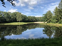 IMG_7848