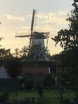 IMG_7863