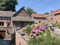 IMG_1454