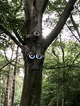 IMG_1479