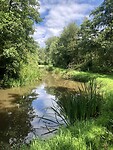 IMG_1600