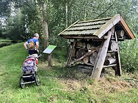 IMG_1602