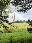 IMG_1626