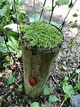 IMG_1646