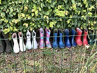 IMG_1666
