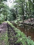 IMG_1684