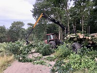 IMG_1693