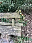 IMG_1706