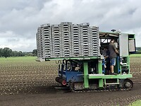 IMG_1718