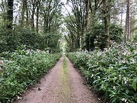 IMG_1719