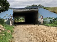 IMG_1775