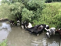 IMG_1791