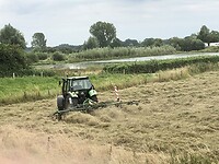 IMG_1796