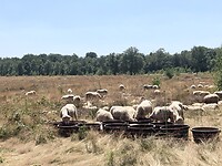 IMG_1893