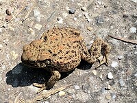 IMG_1891
