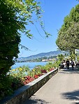 IMG_3372