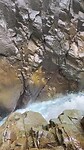 IMG_1774