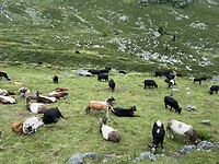 IMG_3764