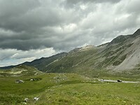 IMG_3768
