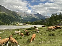 IMG_4022