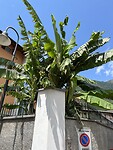IMG_3993