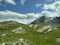 IMG_4040