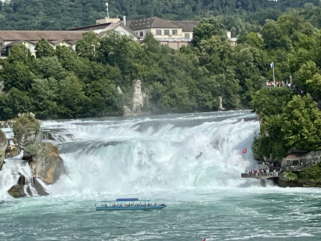 IMG_4209
