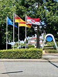 IMG_4225