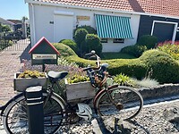 IMG_7680