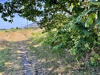 IMG_7703