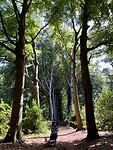 IMG_7712