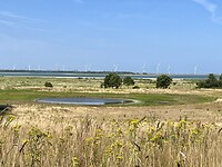 IMG_7709