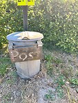 IMG_7777