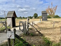IMG_8048