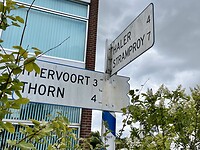 IMG_8052