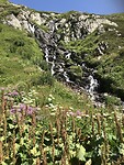 Bloemen en waterval Oberalppas