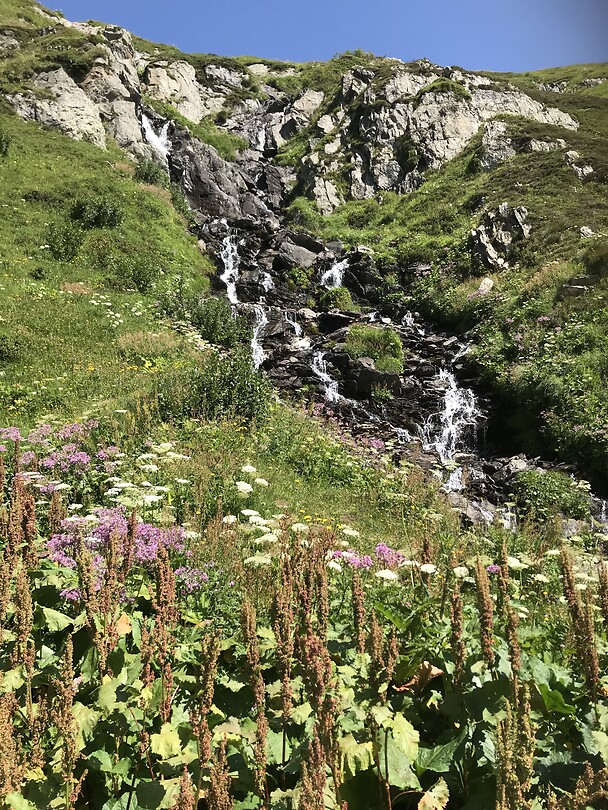 Bloemen en waterval Oberalppas