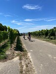 Fietsen rond Breisach