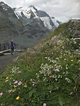 Bloemenpracht