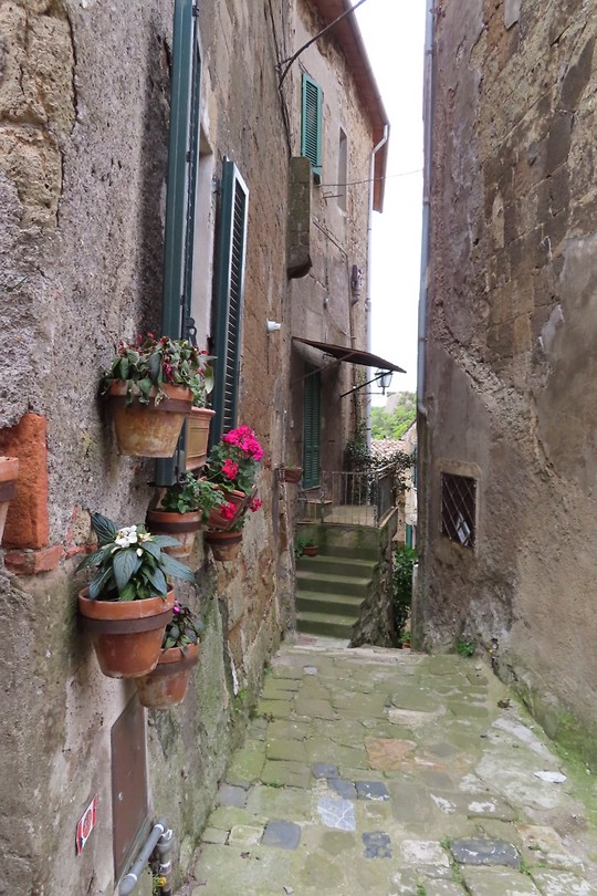 Serano