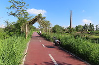 Fietspad langs de Tiber