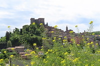 Serano