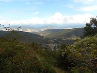 DSCN3560