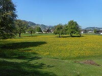 DSCN3866