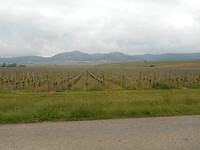 DSCN3918