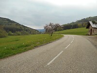 DSCN3923