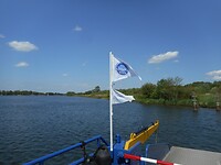 DSCN3990