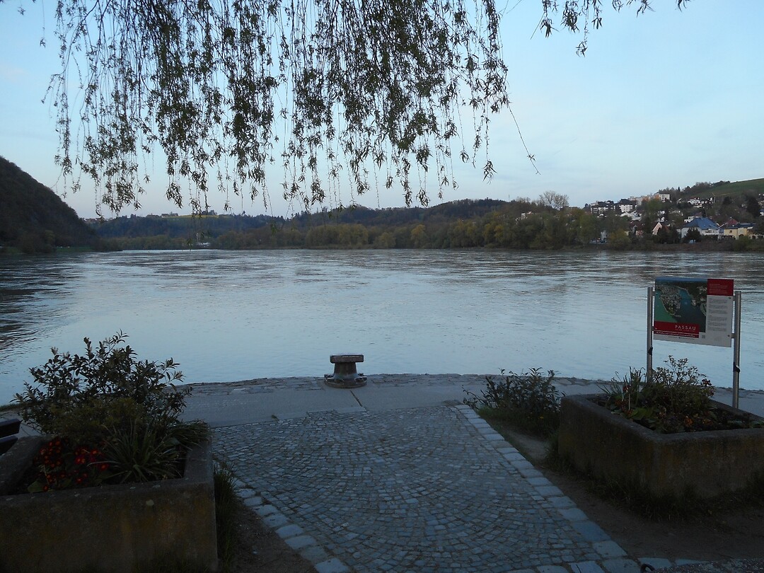 DSCN4128