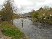 DSCN4173